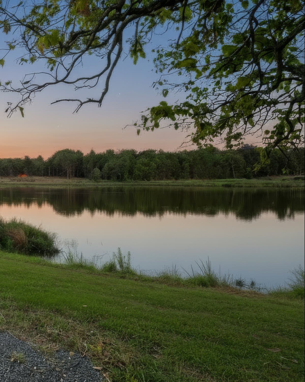 Quiet water along the shoreline at Bloom Estates
